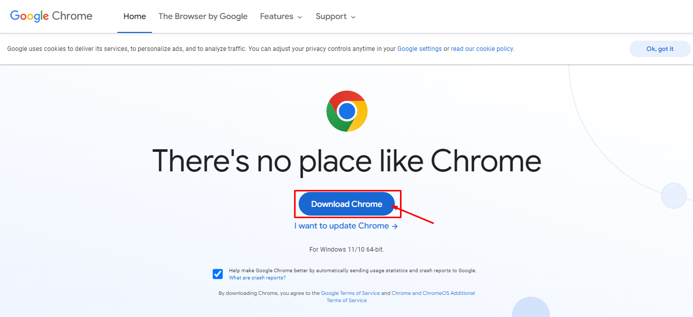 Chrome homepage for downloads